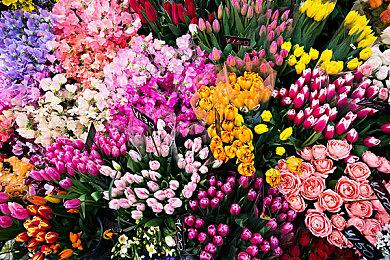 EA大量游戏开启Steam特惠促销 最高降80%